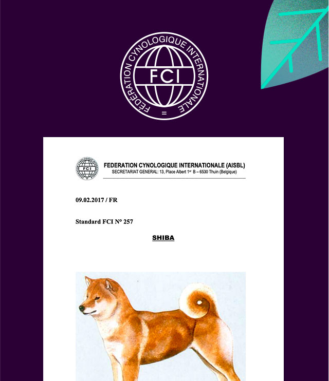 PDF du standard officiel du shiba inu
